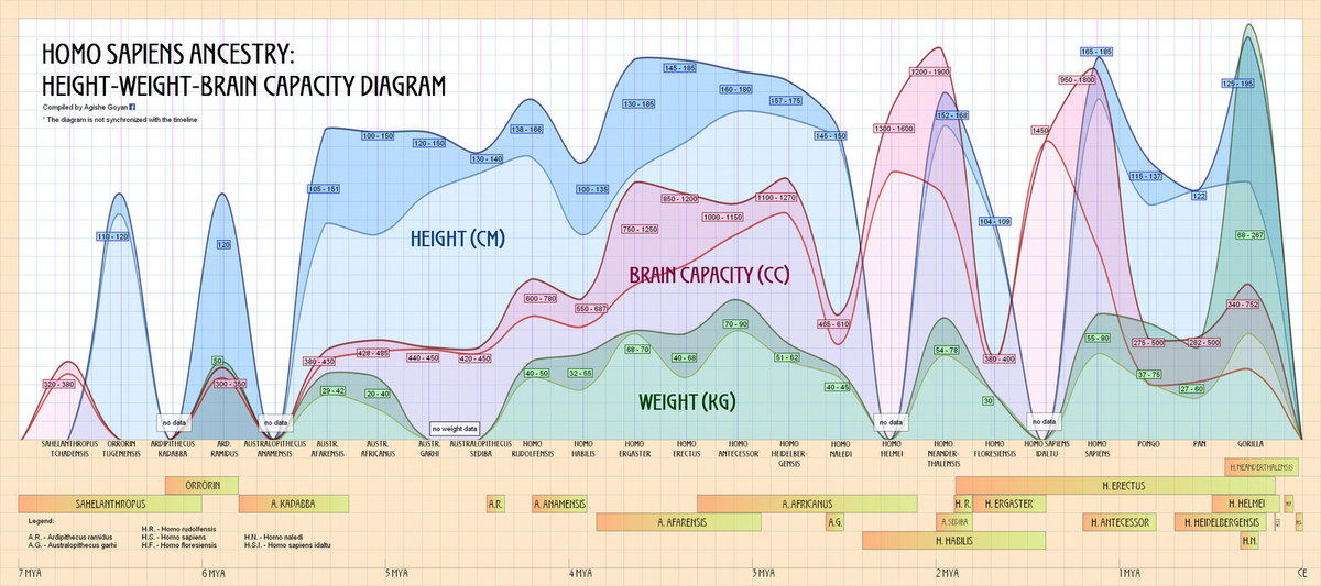Chart post. Диаграммы по эволюции. Эволюция график. График эволюции типичной звезды. График развития человечества по графику гипербулы.