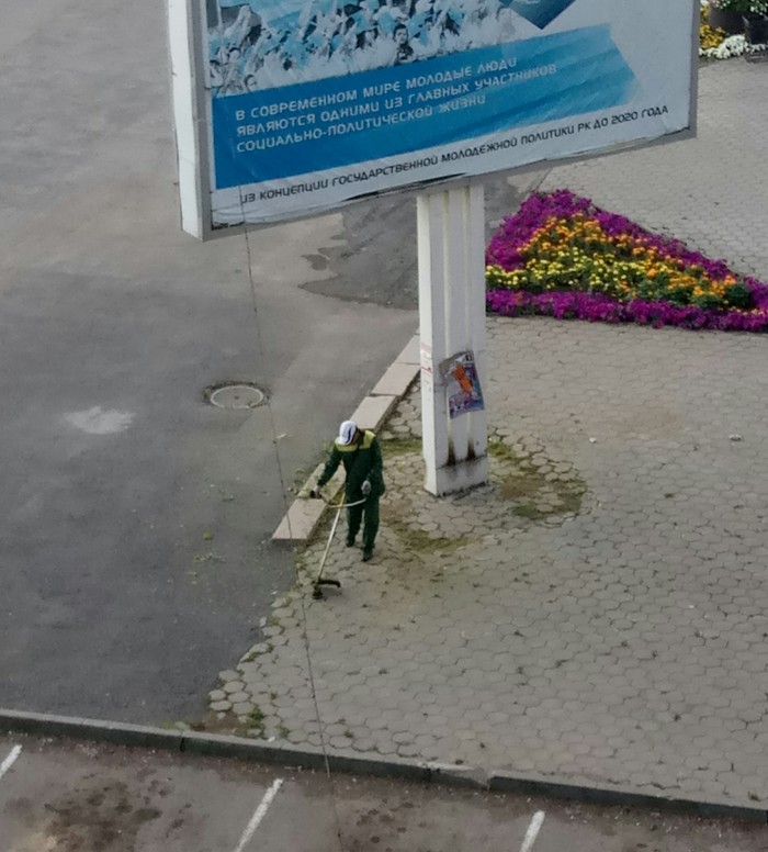 Суровый Карагандинский газон