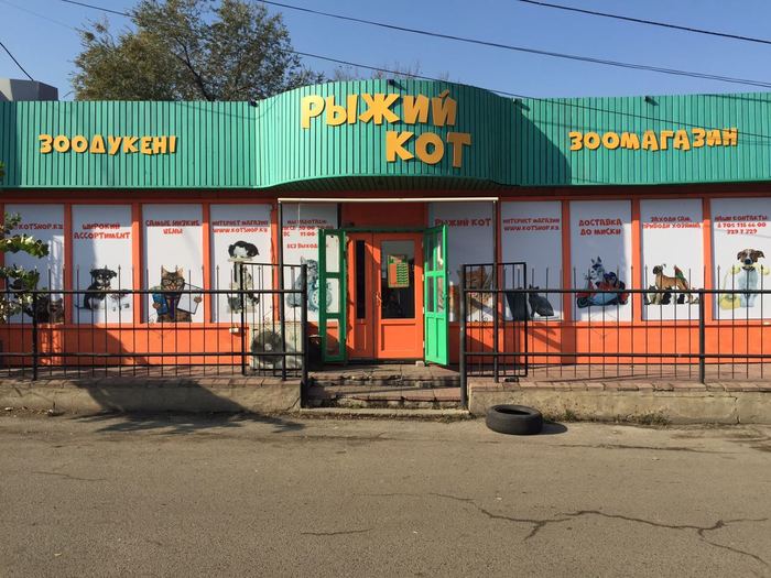 Как мы зоомагазин открывали 4