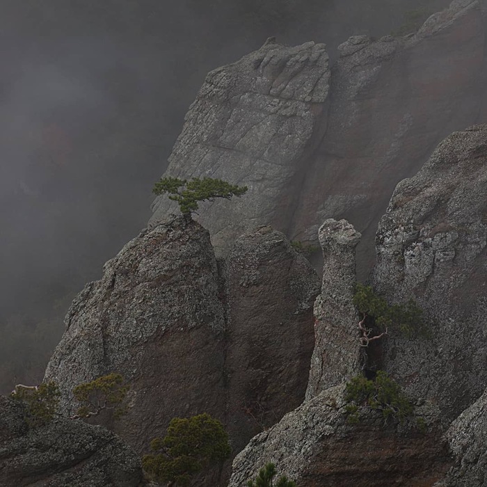 ������ �  ������ ���������� �� ���� ��������, ���� ������, ����. ����