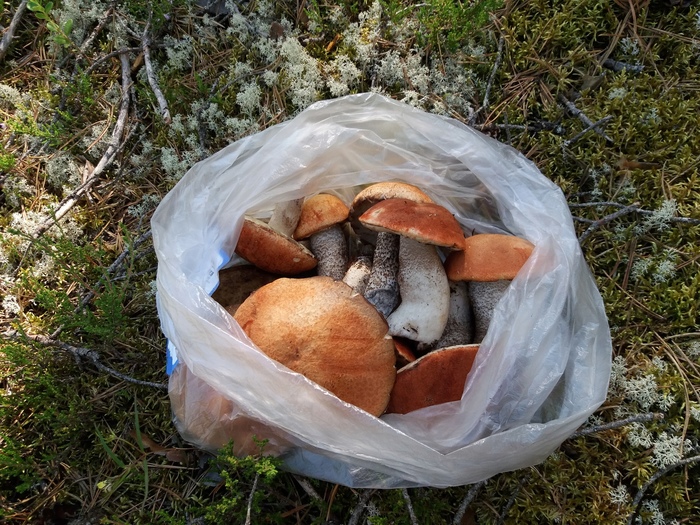 "����� ���� ���������� �� � ����..."