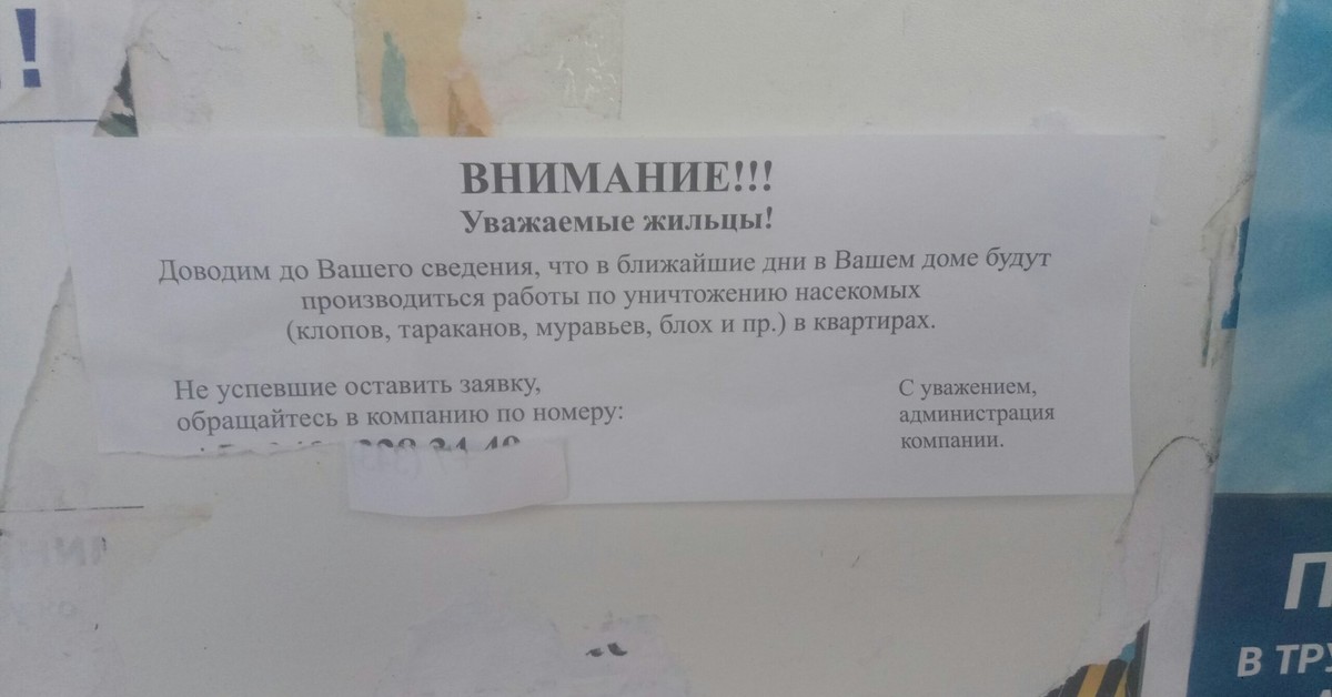 С уважением в конце заявления образец