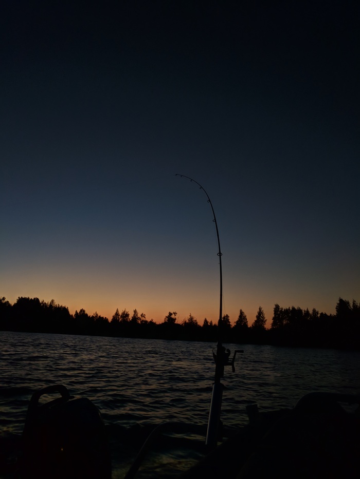 We love fishing! - My, Svir River, Fishing