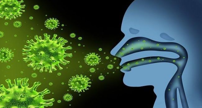 New deadly flu could kill 900 million people - Virus, Flu, Pandemic