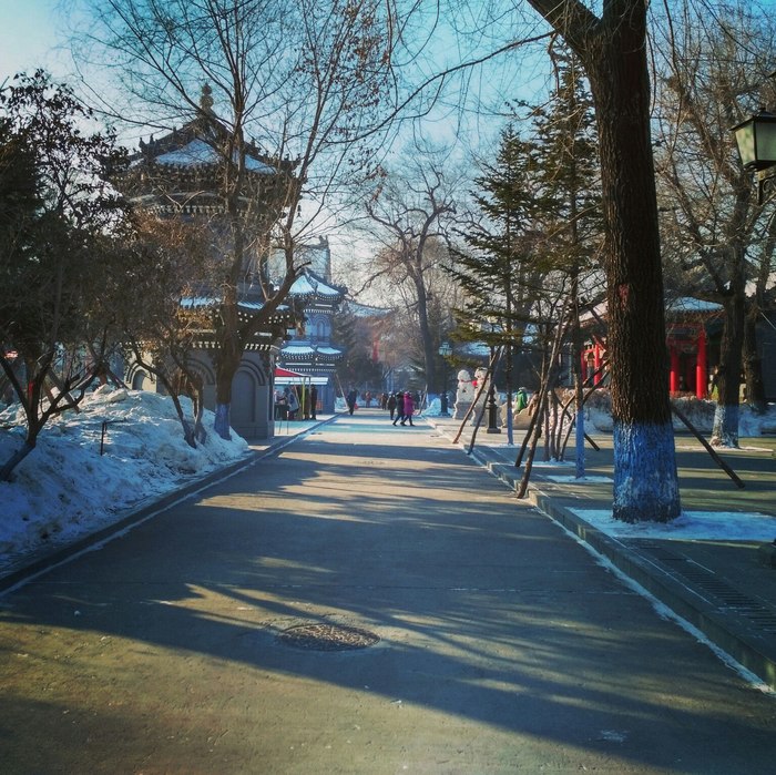 Буддийский храм г. Харбин Китай, фотография, длиннопост, храм, буддизм, зима