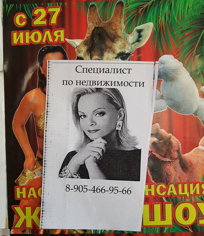 When popularity isn't the same... - Krasnodar, Realtor, Larisa Dolina, Cunning