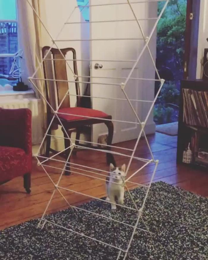 ����� �����, ��� � ���� 9 - ������ )