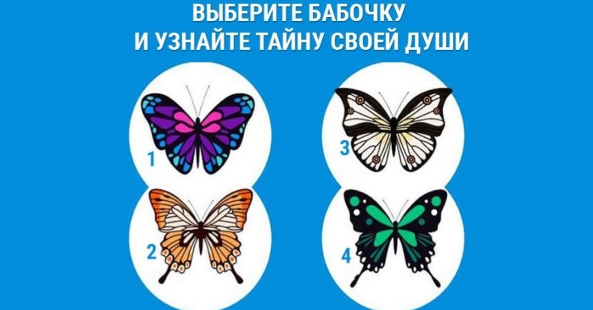 выбери бабочку и узнай о себе. выбери бабочку и узнай что ждет. выбери бабочку и узнай о себе. тест бабочка. тест выберите бабочку.