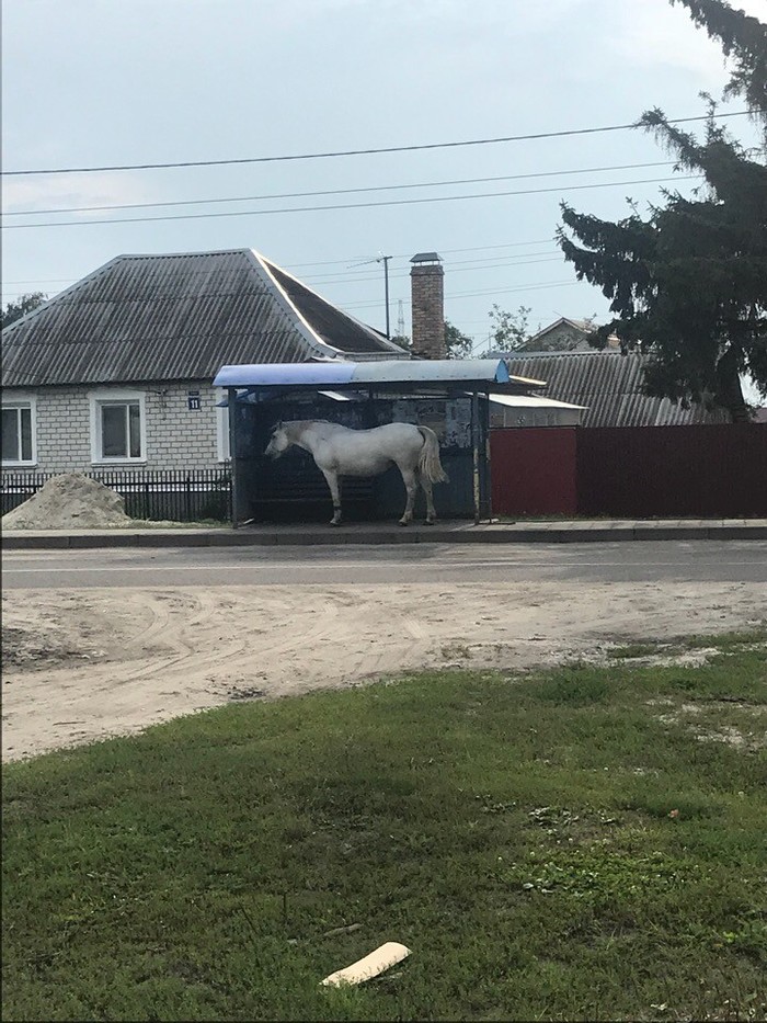 ������� ���� � �������