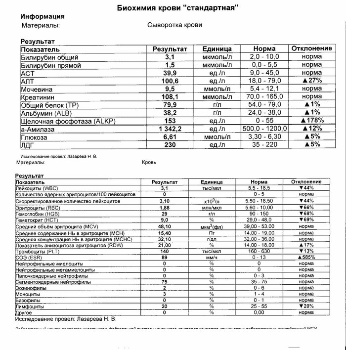 Заболела кошка, анемия, может кто чего подскажет. - Моё, Кот, Ветеринария, Нужен совет