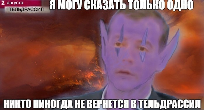 Darnassus is burning, the elf is crying... - World of warcraft, Warcraft, Dmitry Medvedev, Bring back my 2007, Memes