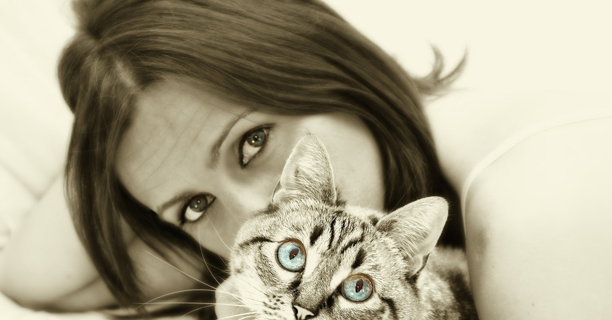 Женскую кошечку. Девушка с котом. Красивая девушка с котиком. Девушка с кошкой картинки. Девушка с котом на руках.