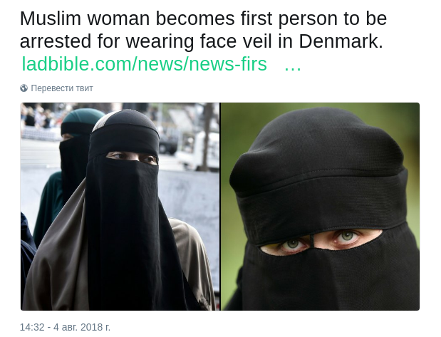 Muslim woman becomes first person arrested for wearing Niqab in Denmark - Denmark, New laws, Muslims, Law