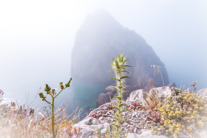 Rock Diva - a symbol of Simeiz - My, Simeiz, Yalta, Crimea is ours, Crimea, Russia, Summer, Happiness, Sea