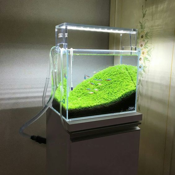 Супер простой дизайн у этого наника, только коврик, а смотрится довольно привлекательно!