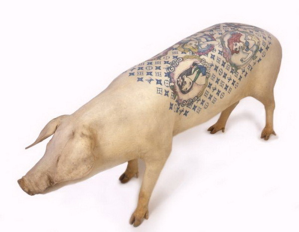 Pig tattoo - Pig, Farm, Tattoo, Longpost