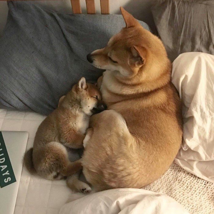 ������������