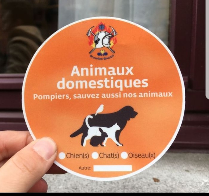 Save animals in case of fire - My, Belgium, Pets
