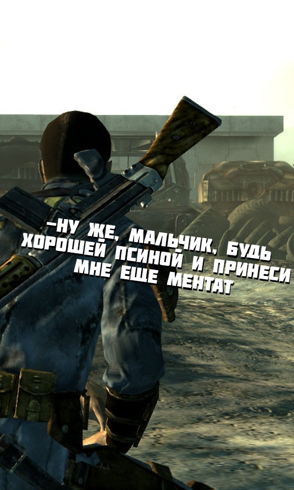   Fallout, Fallout 3, ,  , Dogmeat, , 