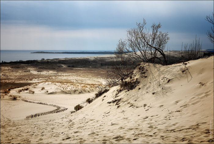 Photowalk: Nida, Lithuania - My, Photobritish, Travels, The photo, Lithuania, Nida, Curonian Spit, Sea, Dunes, Longpost