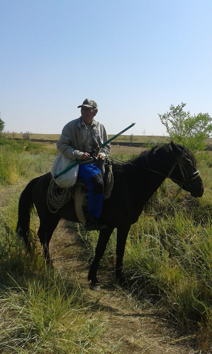 Severe Kazakh dead - My, Grandfather, Kazakhstan, Gun, Horses, Shepherd, Portrait