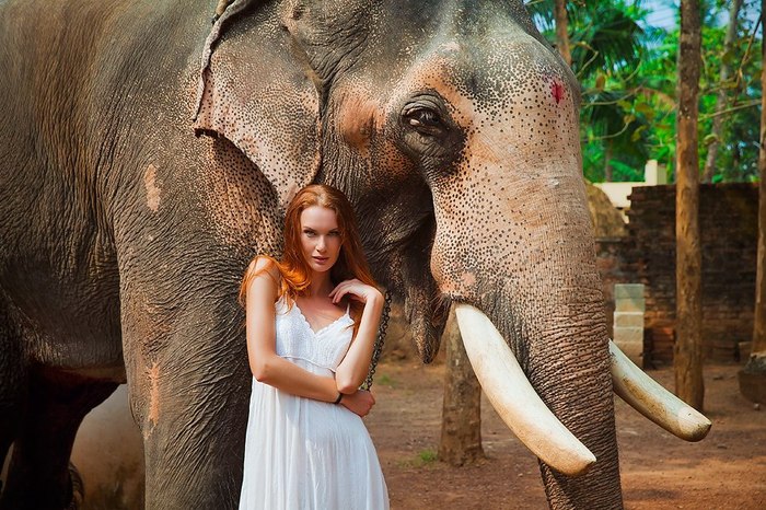 Рыжуля 1.0 Красивая девушка, Милота, Рыжие, Рыжая бестия, Сексуальная, Длиннопост