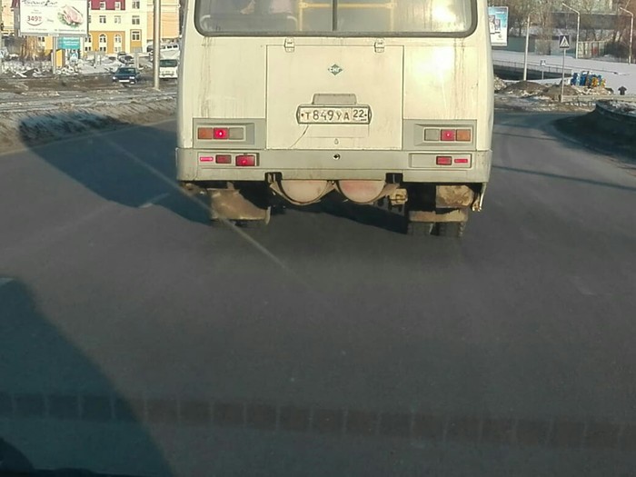 Male. - Bus, Humor, My