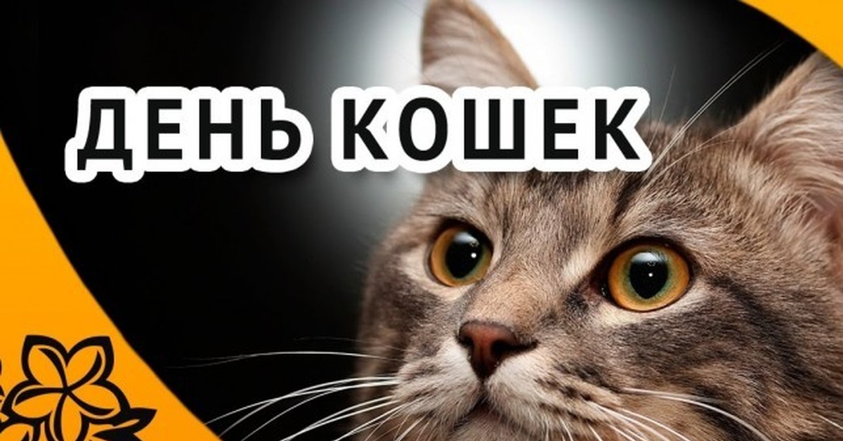 День кошек цель. Всемирный день кошек. Всемирный день кошек 8 августа.