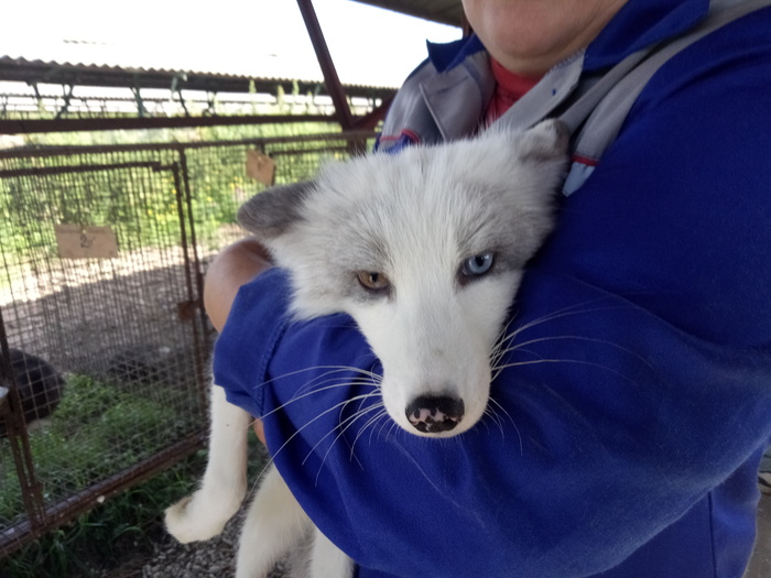 ��� �� �����)