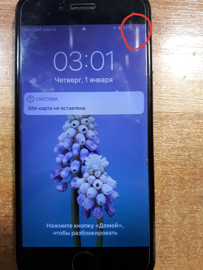 IPhone 6.  .    .        . iPhone 6, , , , Tristar, , 
