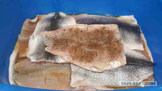 Salted smoked fish - Food, Recipe, Cooking, A fish, Smoking, Bloater, Longpost