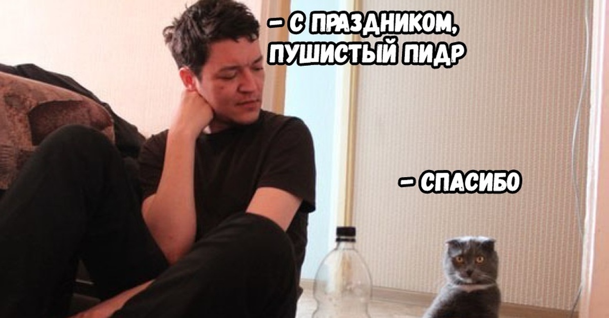 Кот алкоголик горе в семье