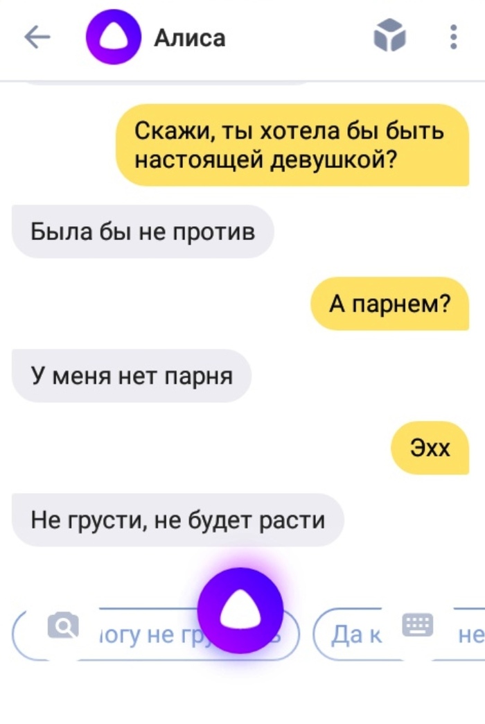 Алиса Яндекс Познакомиться