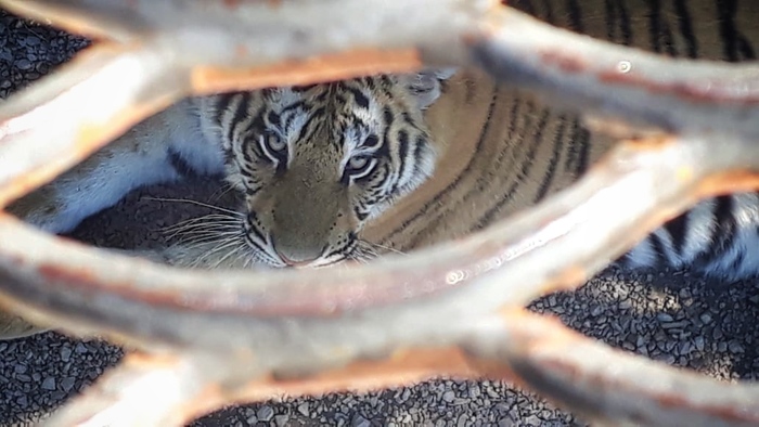 Она смотрит на тебя как на гуано.