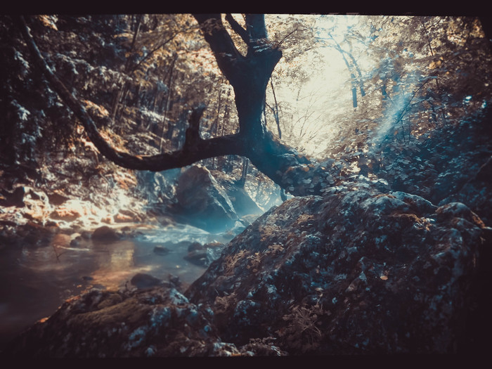 В мире необычного цвета... Фотография, Цвет, Необычное, Fuji, Длиннопост