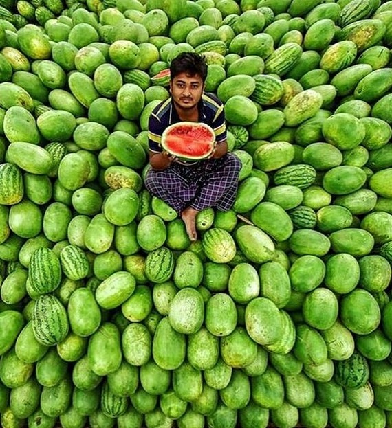 Harvesters in India - The photo, Longpost, India, Harvest