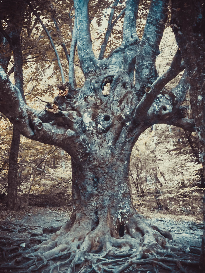 В мире необычного цвета... Фотография, Цвет, Необычное, Fuji, Длиннопост