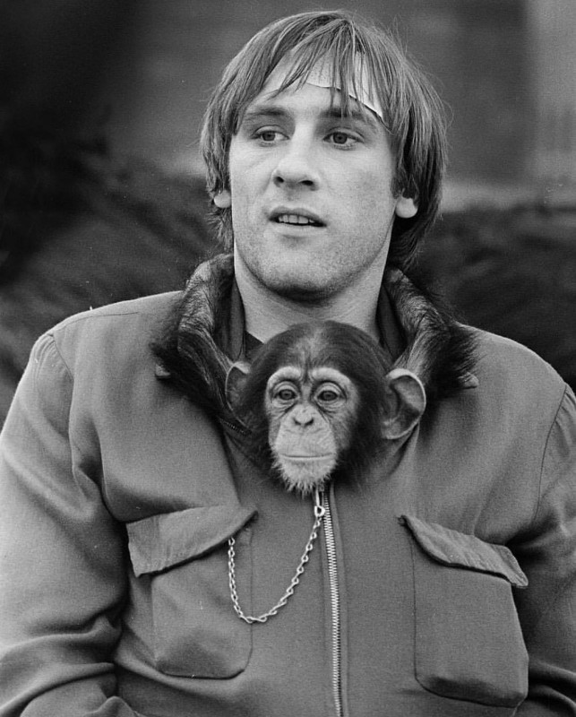 Gerard Depardieu with a small chimpanzee - Gerard Depardieu, Chimpanzee, Celebrities, Old photo