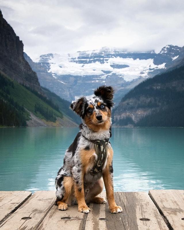  , , , ,  , 