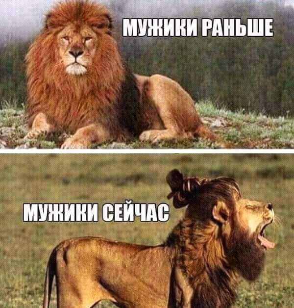 мужики и мужики фото онлайн мужики и мужики фото