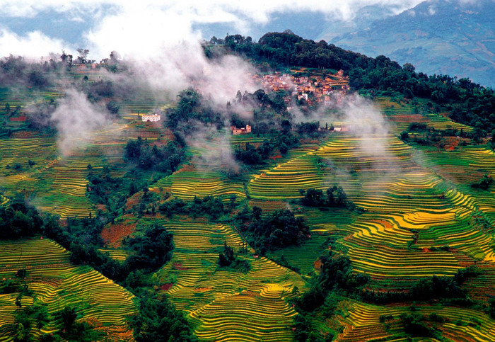 How rice terraces are arranged. - Yunnan, China, Rice, Rice terraces, Сельское хозяйство, Longpost