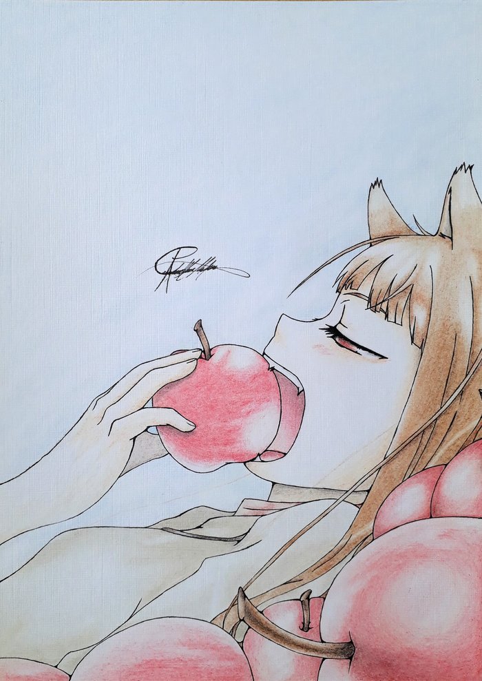 Horo Anime Art, , Spice and Wolf, Holo, Akispot
