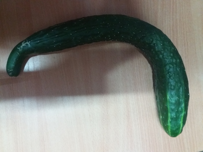 Cucumber. - Cucumbers, My, 