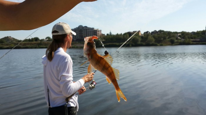 bdsm perch fishing - My, BDSM, Fishing