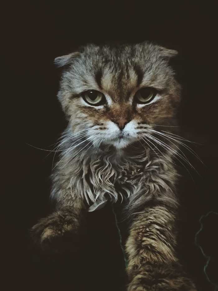    , , 