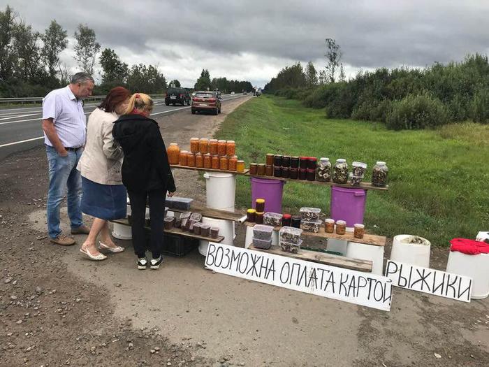 Цифровая экономика добралась до рыжиков - Дорога, Торговля, Обочина, Банковская карта, Цифровая экономика, Фотография