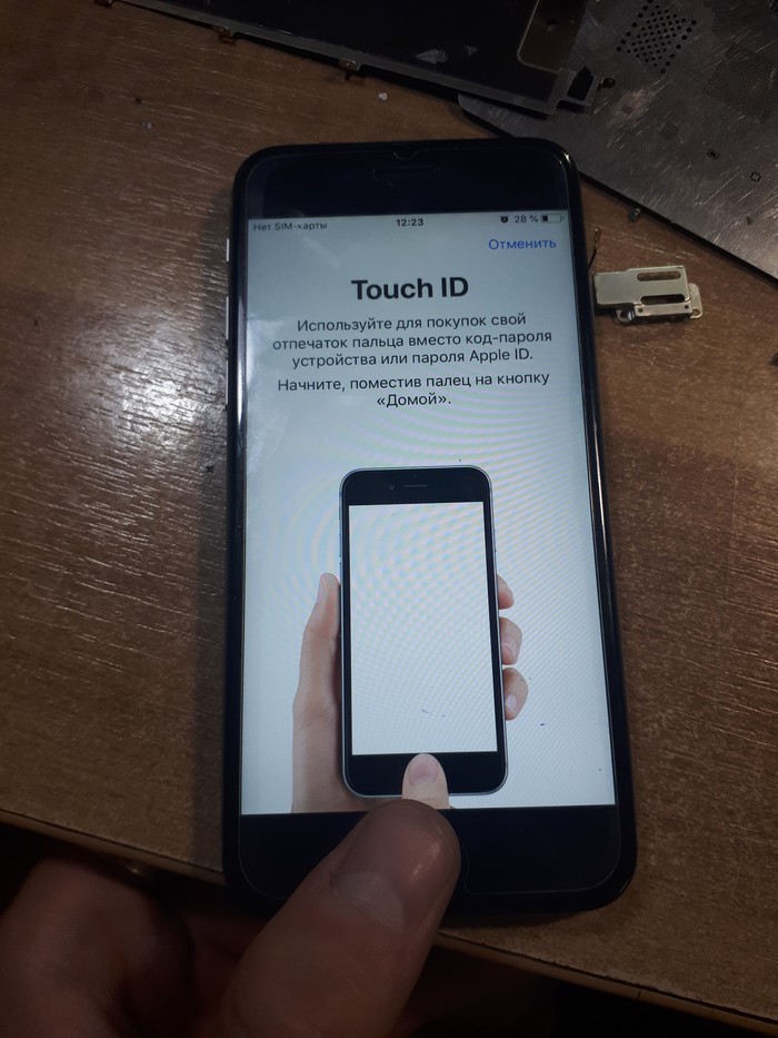 IPhone 6s.   TouchID.    , , , , iPhone 6s, 