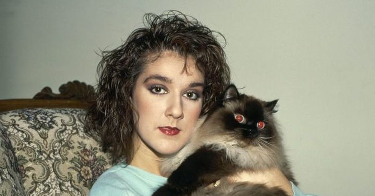 Кошка селин. Селина кайл дс. Кошка селин. Селина кайл темный рыцарь. Селина кайл женщина-кошка.