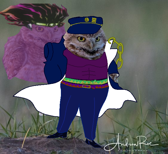 Yare Yare Sova - My, Owl, , Jojos bizarre adventure, , Longpost