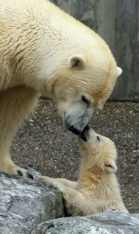 ���������.